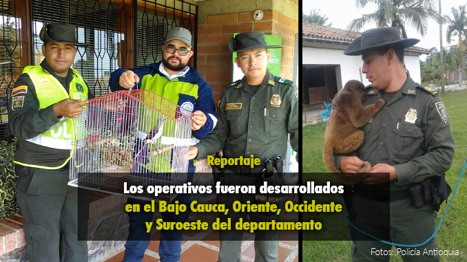 Foto/Policía Ambiental