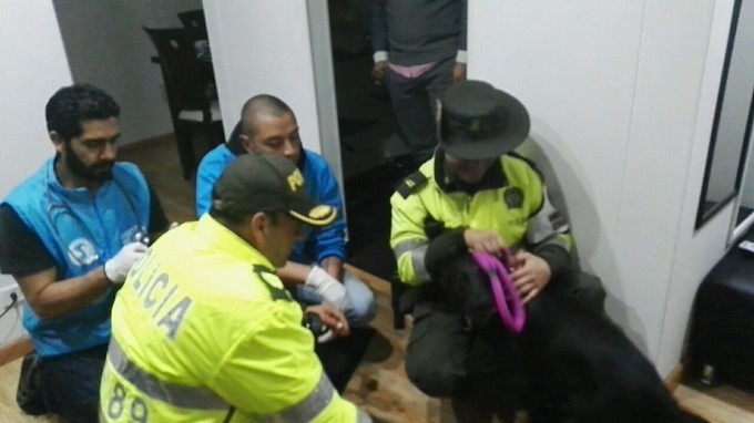 FOTOS Y VIDEO: Policía y Protección Animal rescataron a Sasha, la perrita maltratada por su propietario