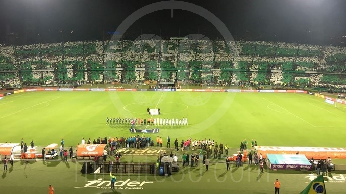 FOTOS: La fiesta en las tribunas de la hinchada Verdolaga 5 tifo recopa 1