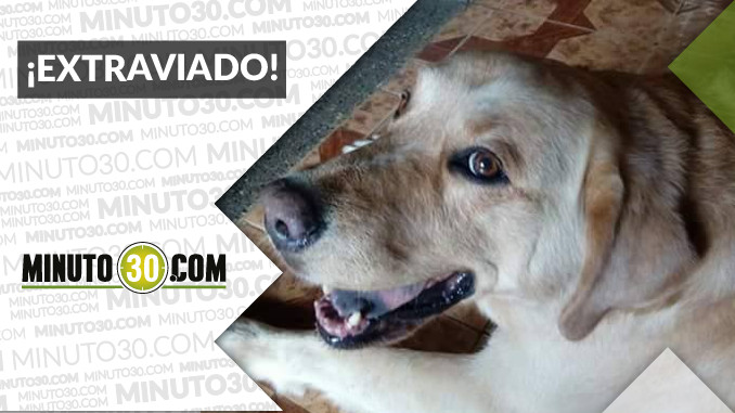 A “Tony” lo buscan en Tablaza