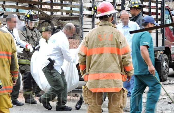Un toro mató a un hombre dentro de un camión en el barrio Naranjal.