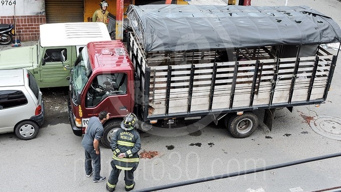 Un toro mató a un hombre dentro de un camión en el barrio Naranjal.
