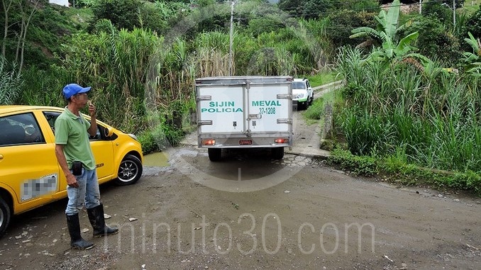 Tronco encontrado en Copacabana.