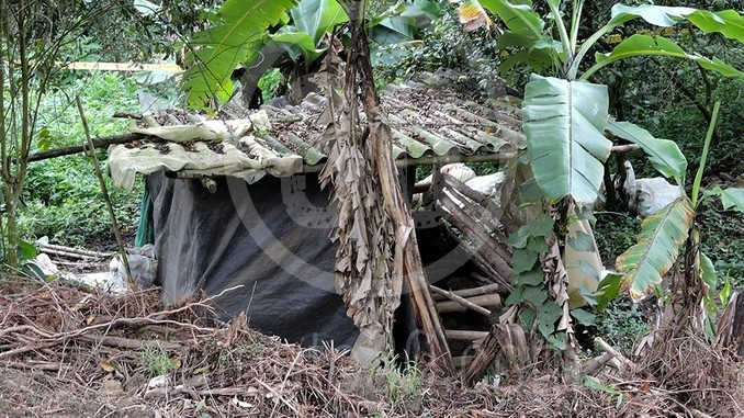 Tronco encontrado en Copacabana.