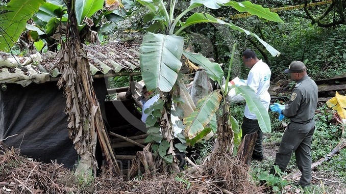 Tronco encontrado en Copacabana.