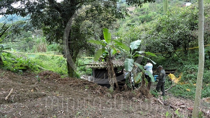 Tronco encontrado en Copacabana.