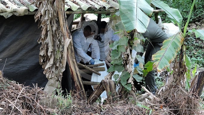 Tronco encontrado en Copacabana.