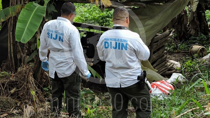 Tronco encontrado en Copacabana.