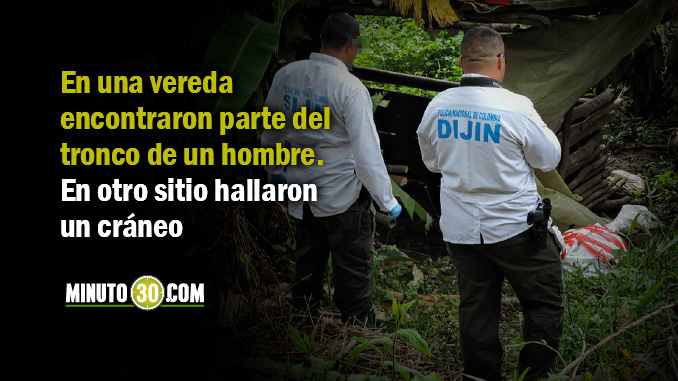 Tronco encontrado en Copacabana.