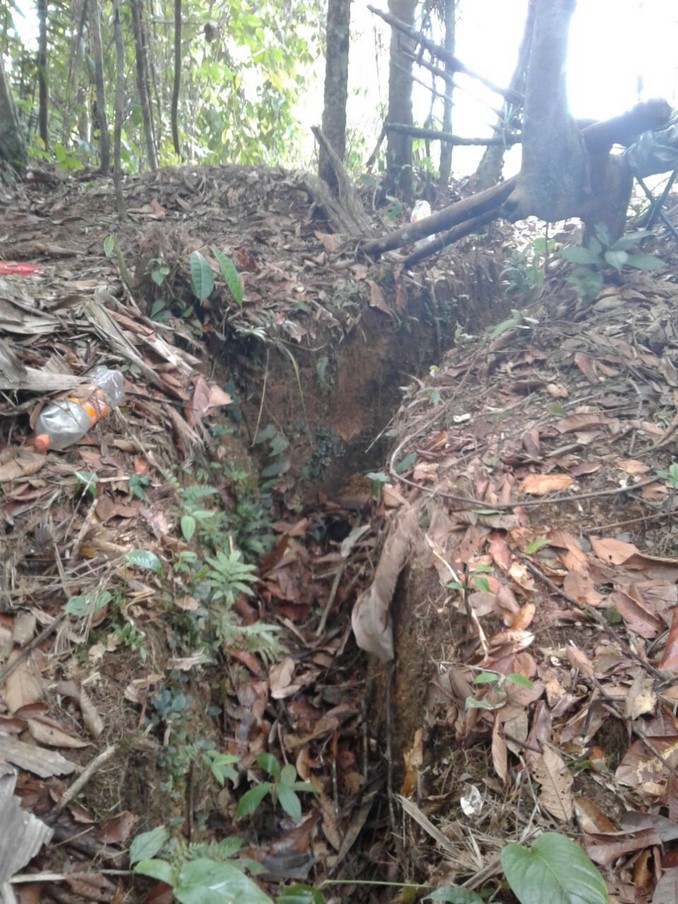 Localizan y destruyen cuatro zonas campamentarias del Eln en el Chocó