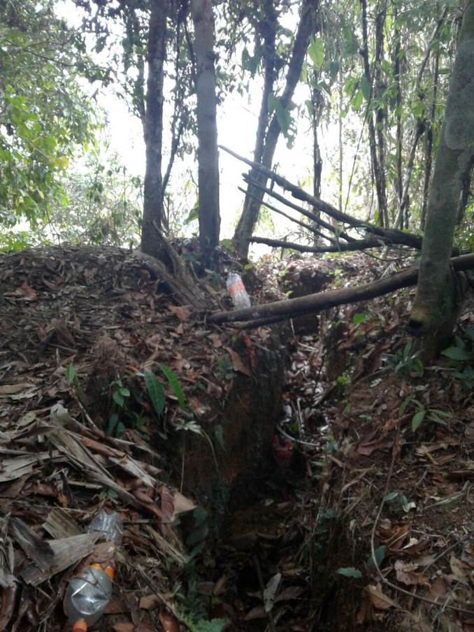 Localizan y destruyen cuatro zonas campamentarias del Eln en el Chocó