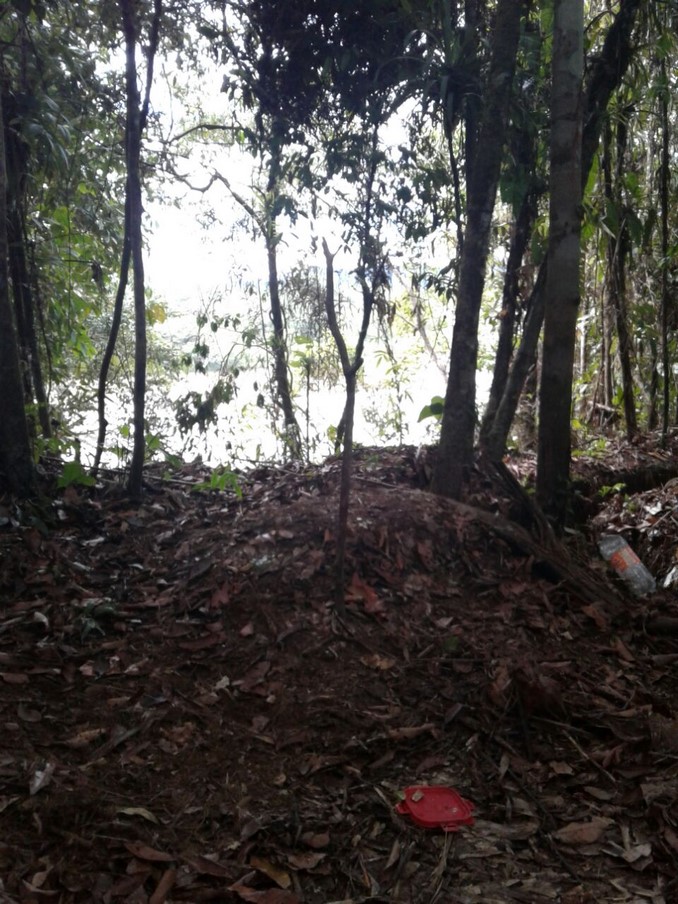 Localizan y destruyen cuatro zonas campamentarias del Eln en el Chocó