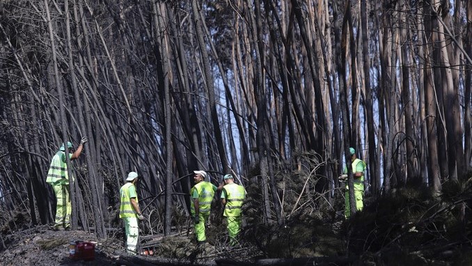 bomberos portugal incendio