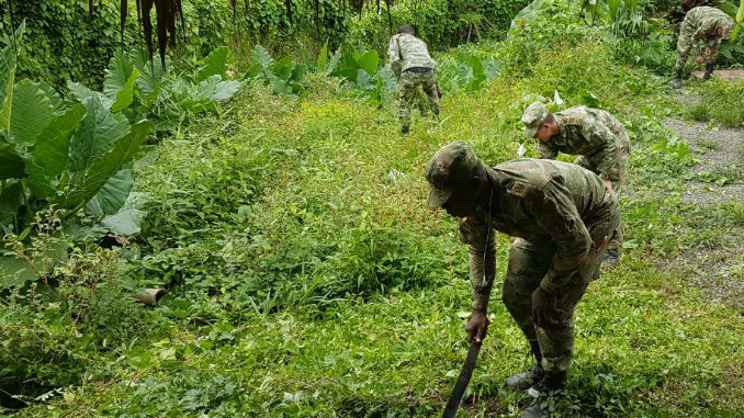 Ejército_tropas_trabajo_de_Campo