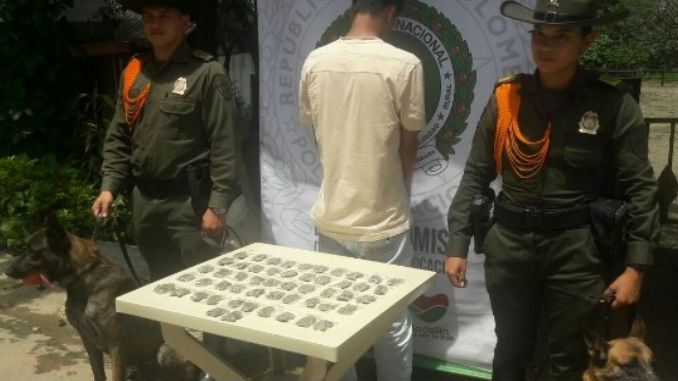 No logró pasar el control de la Unidad Canina en peaje de la Medellín - Bogotá y fue capturado 1 Marihuana_Medellin_Bogota