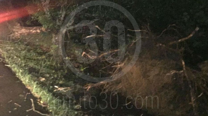 Valdivia_Caucasia_Bret_1