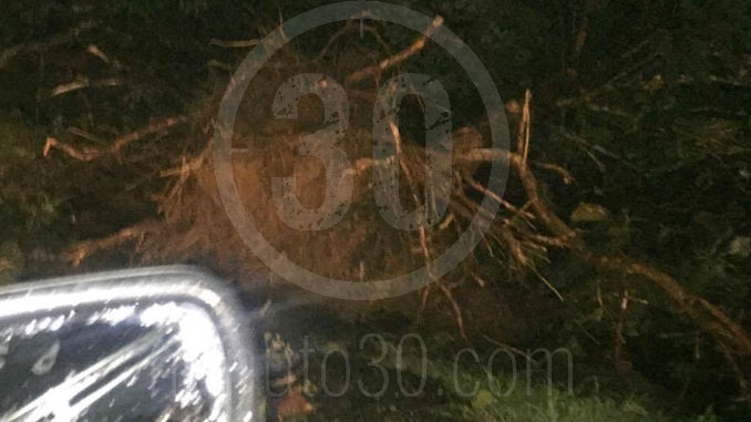 Valdivia_Caucasia_Bret_3