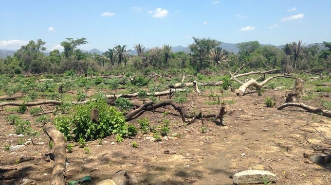 “Estamos perdiendo la carrera contra el cambio climático”, dice ONU