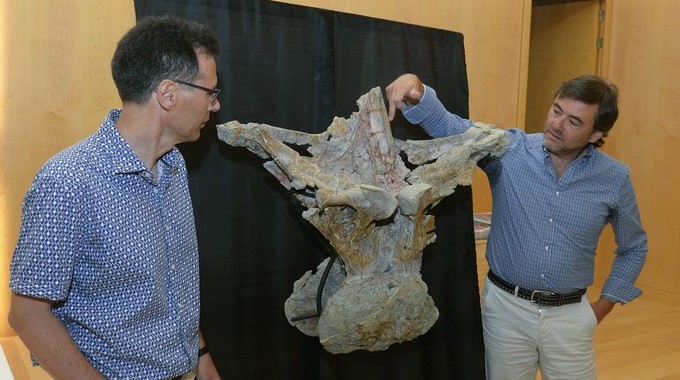 El director del Colectivo Arqueológico-Paleontológico y del Museo de Salas de los Infantes, Fidel Torcida (i) y el responsable del Grupo Aragosaurus-IUCA, José Ignacio Canudo, muestran el fósil de una nueva especie de dinosaurio gigante hallado en la Sierra de la Demanda (Burgos), hoy durante una rueda de prensa que han ofrecido en Burgos. EFE