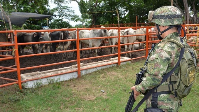 ICA se quejó ante organismos internacionales por el poco control del ganado en Venezuela