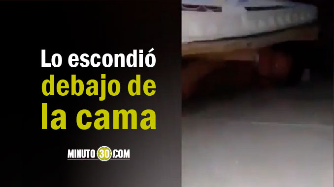 Vídeo. Se quedó sin coartada cuando la suegra la pilló con su amante debajo de la cama