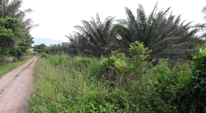 Unidad de Restitución de Tierras denunció a falsos reclamantes que se hicieron pasar por víctimas del conflicto