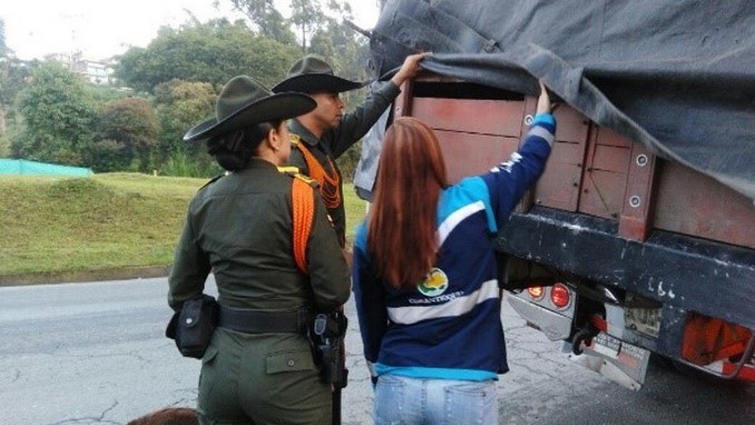 Intensifican controles contra el tráfico ilegal de madera en Antioquia