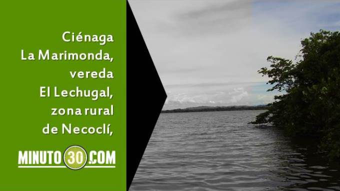 marimonda
