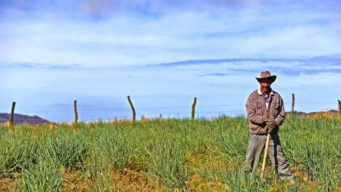 Este sábado inicia la celebración a los campesinos de Colombia