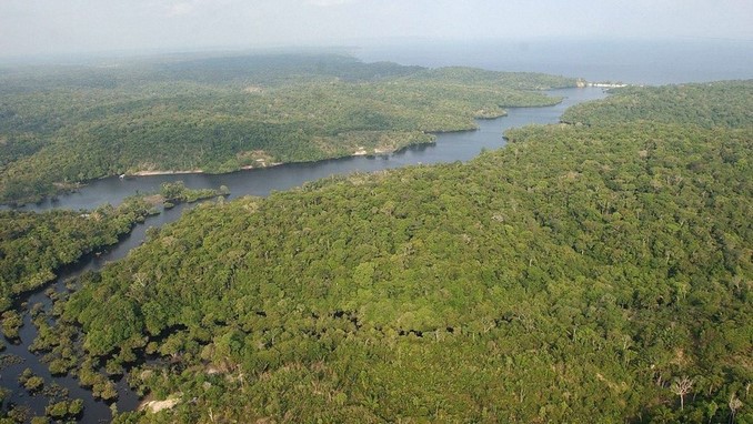 Tomar acciones concretas para la protección del Amazonas, la tarea de Iván Duque y otros mandatarios