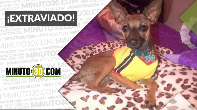 tobby