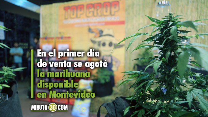marihuana uruguay