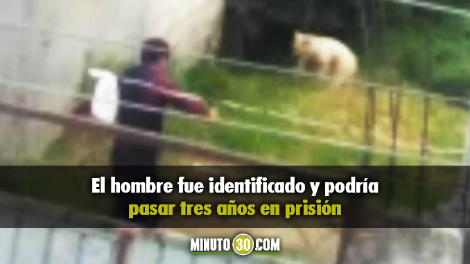 maltrato animal mexico