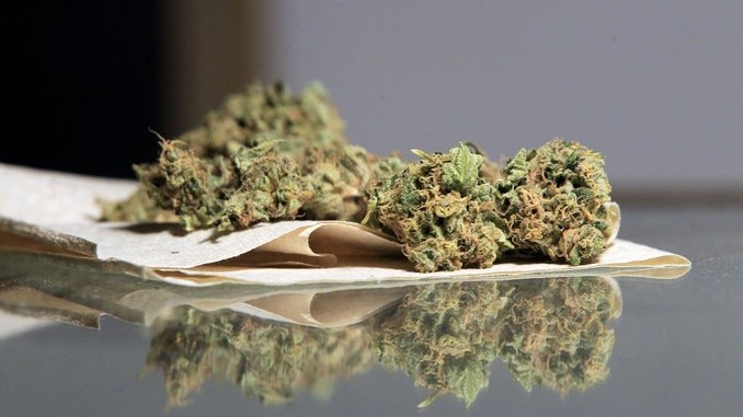 Marihuana y munición para fusil abandonaron al notar la presencia de los patrulleros 1 marihuana
