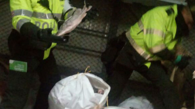 Foto: Policía Mebog