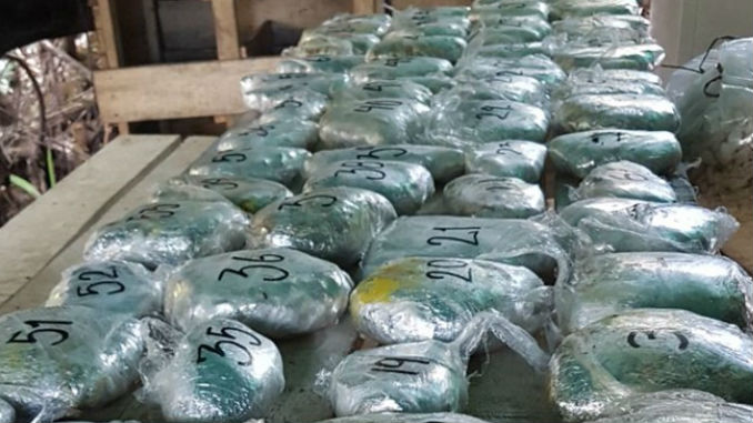 FOTOS y VIDEO: Descubren un tercer 'megalaboratorio' en el Oriente de Antioquia 2 Megalaboratorio_6