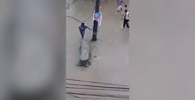 Captura tomada de Youtube: CRICKET DE ZXOMX