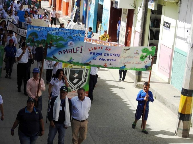 Amalfi fue declarado como territorio libre de fauna silvestre en cautiverio