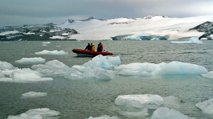 Los cambios ecológicos están ocurriendo a una velocidad "sin precedentes" y han provocado la disminución de grandes y pequeñas especies, así como cambios en la distribución y en el comportamiento de los mamíferos marinos y peces. EFE/Archivo