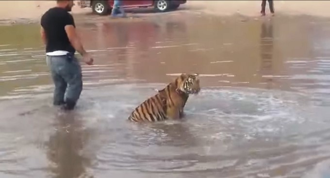 Captura tomada de Youtube: #LaOpcionTV y #LaOpciónEnVIVO