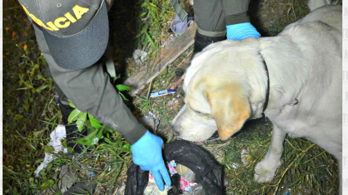 Allanamiento_Policia_Antioquia_El_Laberinto_3