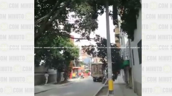 Arbol_Caido_Villanueva