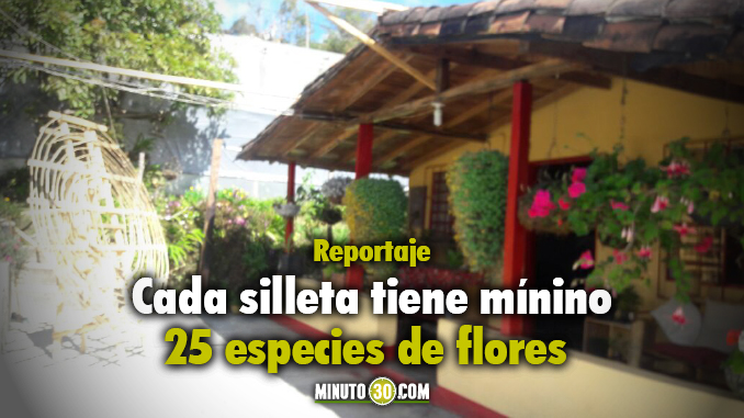 Finca Silletera de la vereda El Llano. Foto/Minuto30