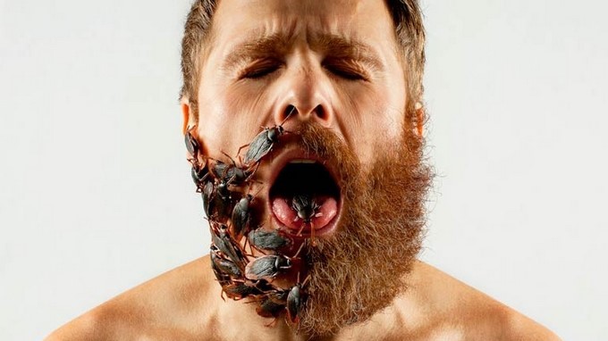 Científicos demuestran que la barba tiene millones de bacterias