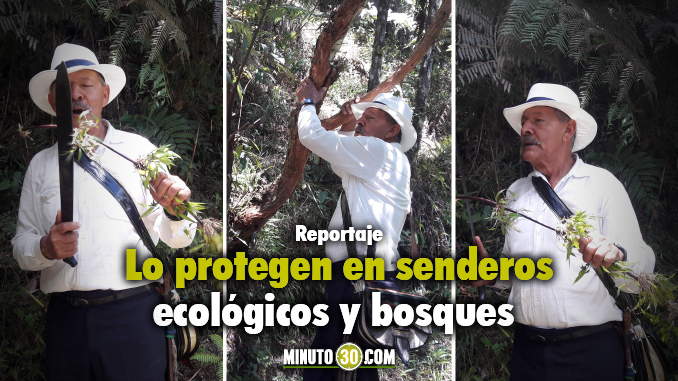 Sendero ecológico de la finca El Chagualo. Foto/Minuto30