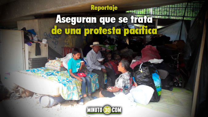 Familias de Moravia se auto-albergaron debajo del puente. Foto/Minuto30