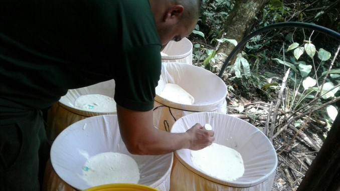 Laboratorio_Cocaina_2