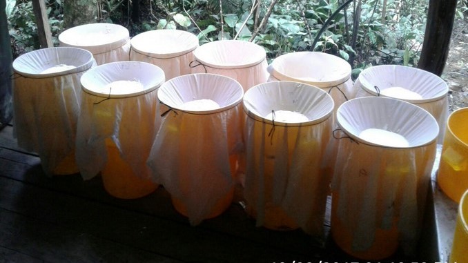 Laboratorio_Cocaina_2