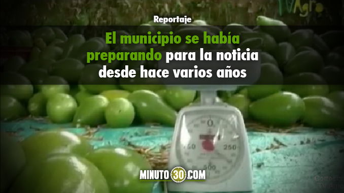 Foto/Captura de pantalla