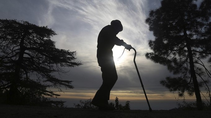 anciano, adulto mayor